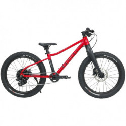 Rascal Bikes Rascal Wild 20...