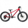 Rascal Bikes Rascal Wild 20 Kette 9-Gang, Ruby Red 20 Zoll