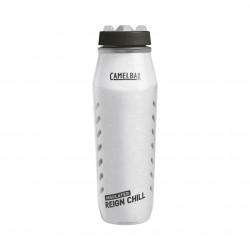 CamelBak Reign Chill Bottle  0.95l, custom silver