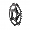 Race Face Direct Mount Shimano Chainring 12SPD Steel black,34T 