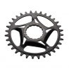 Race Face Direct Mount Shimano Chainring 12SPD Steel black,34T 