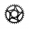 Race Face Direct Mount Shimano Chainring 12SPD Steel black,34T 