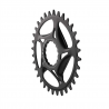 Race Face Direct Mount Shimano Chainring 12SPD Steel black,30T 