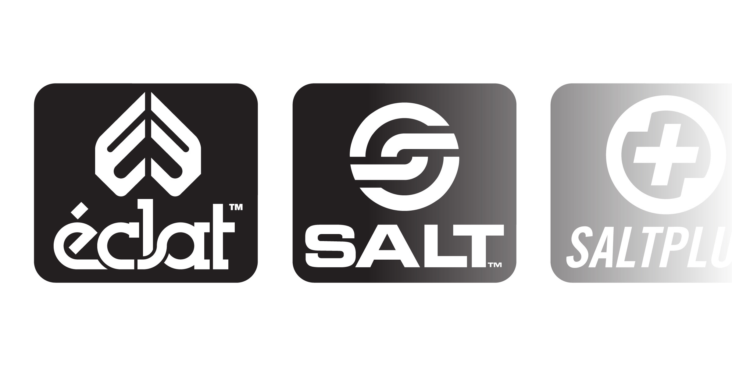 Eclat / Salt / Salt+ / We the people 
