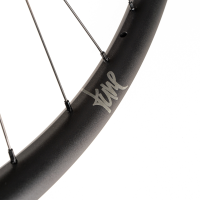 Tune Rear Wheel Disc, ENDURO and E-MTB, R30End, ClimbHill Boost 6B 32h, 12mm, Standard Bearings, MS