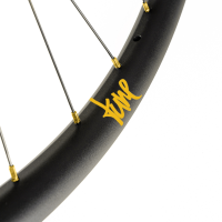 Tune Rear Wheel Disc, ENDURO and E-MTB, R30End, ClimbHill Boost 6B 32h, 12mm, Standard Bearings, MS