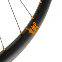 Tune Rear Wheel Disc, ENDURO and E-MTB, R30End, ClimbHill Boost 6B 32h, 12mm, Standard Bearings, HG10-12