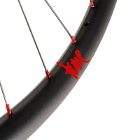 Tune Rear Wheel Disc, ENDURO and E-MTB, R30End, ClimbHill Boost 6B 32h, 12mm, Standard Bearings, HG10-12