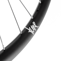 Tune Rear Wheel Disc, ENDURO and E-MTB, R30End, ClimbHill Boost 6B 32h, 12mm, Standard Bearings, MS