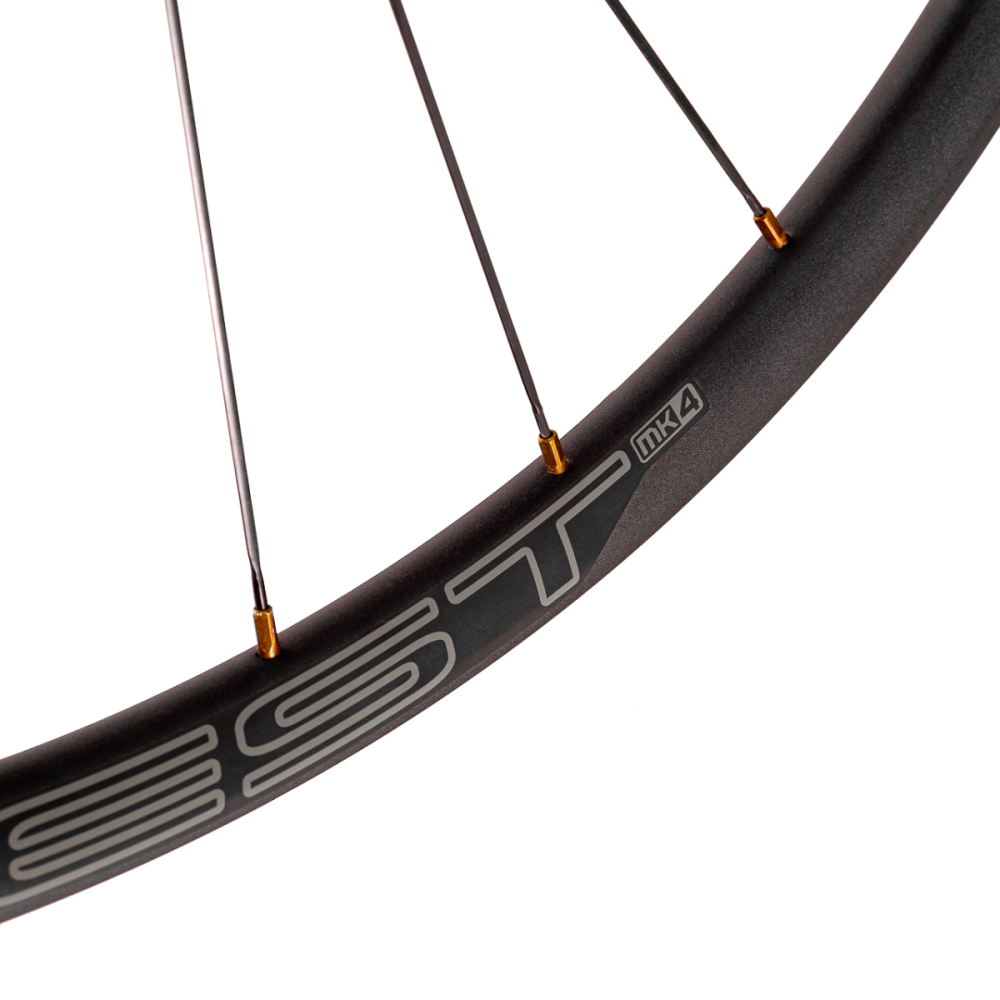 Tune Rear Wheel Disc, MTB Alu, R25, ClimbHill Boost 6B 28h, 12mm, Standard Bearings, HG10/11/12