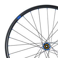 Tune Rear Wheel Disc, MTB Carbon, BB28, Prince Boost 6B 28h, 12mm, Standard Bearings, MS