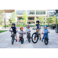 Rascal Rascal 16 Belt Drive 1-Gang, Titan 16 Zoll