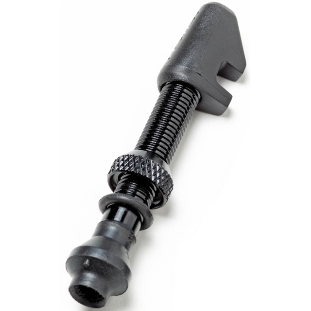 DT Swiss Tubeless Ventil Alu Cyl Nut 18-25mm