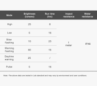Ravemen NT201 Radar Rücklicht