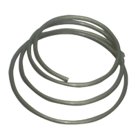 DT Swiss Feder für Zahnscheibe, 180/240/350