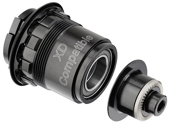 DT Swiss rotor Kit MTB 12/142 TA XD 11-Speed pawl