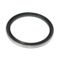 DT Swiss Dichtung Hügi 240 Nabe/Rotor