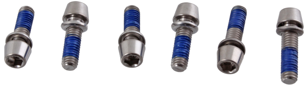 Ritchey Schraubenset Titan C220, 6pcs silver