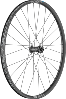 DT Swiss H 1900 Spline 29 Vorderrad Boost,  6-bolt 15x110mm 30mm