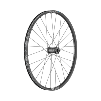 DT Swiss H 1900 Spline 29 Vorderrad Boost,  6-bolt 15x110mm 30mm