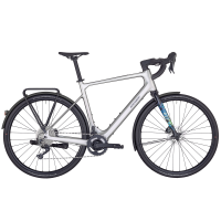 Bergamont E-Grandurance RD Expert, shiny flaky silver, M