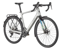 Bergamont E-Grandurance RD Expert, shiny flaky silver, M