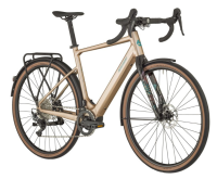 Bergamont E-Grandurance RD 8, L