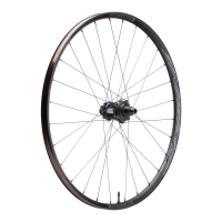 Race Face Turbine SL 25 ALU MTB CLN 6 Bolt Wheel, 29"/15x110