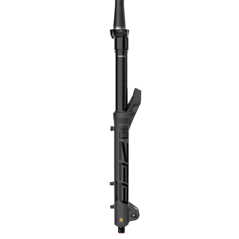 RockShox Rock Shox MY25 Fork ZEB Ultimate Charger3.1 ButterCups, 29"/180mm/44 OS, grey