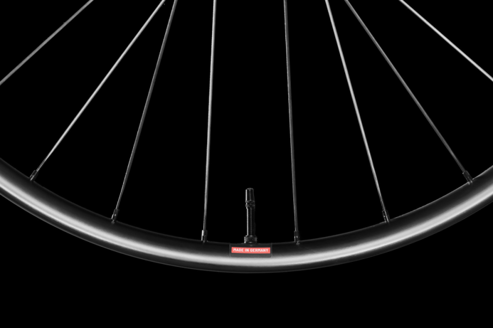 Bike Ahead SAFEWING 30 XC, FRONT, 15x110 mm, 29", (DT SWISS 240 EXP HUB)