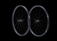 Bike Ahead SAFEWING 30 EN, 29", (DT SWISS 240 EXP HUB), Vorderrad