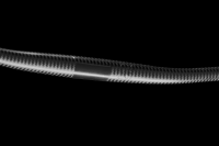 Bike Ahead Lenker The Riser, 8.5°, 3K, STANDARD, 800mm