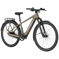 Bergamont Helix 10 Belt, warm silver, S