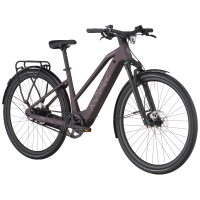 Bergamont Helix 10 Belt Slope, dusky purple, L