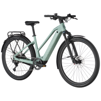 Bergamont Helix 20 Slope, sage green, S