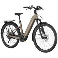 Bergamont E-Horizon SUV 10 Wave, warm silver, L