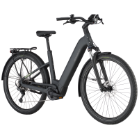 Bergamont E-Horizon Sport 20 Wave, flaky black, M