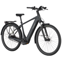 Bergamont E-Horizon Tour 20 Belt, flaky black, XL