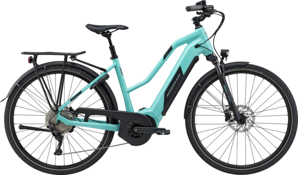 Wheeler i-VISION GOR C mint/black, M