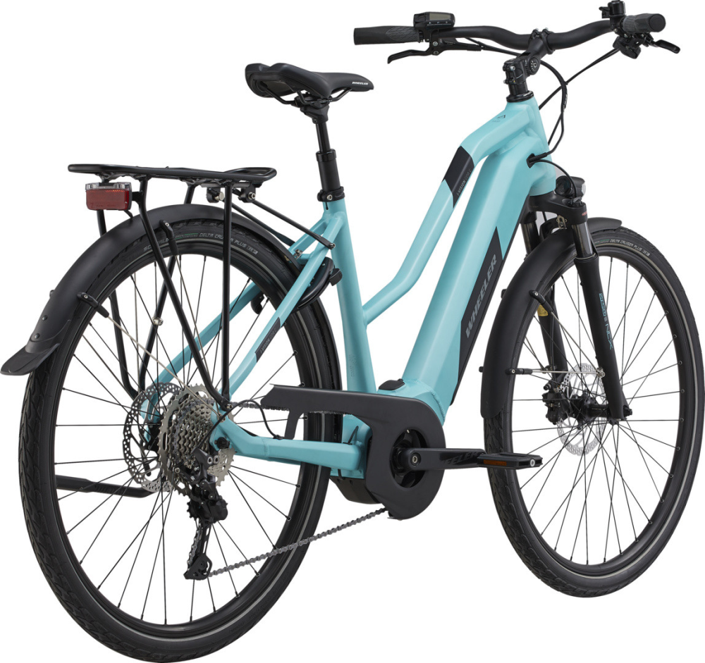 Wheeler i-VISION GOR C mint/black, M