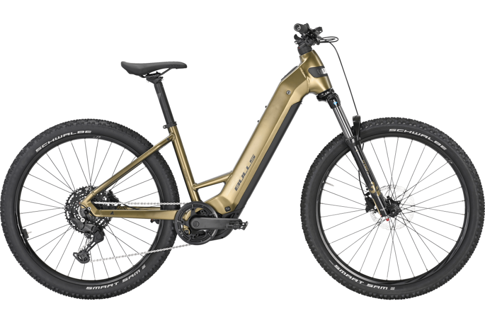 Bulls Copperhead Evo 29, Tiefeinsteiger, M