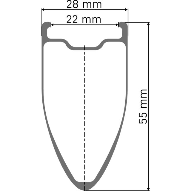 DT Swiss ARC 1100 Dicut 55 WTS Disc Hinterrad, Carbon, EXP 36, CL, 12x142mm, 22mm, HG/ XDR