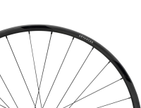 NEWMEN Advanced SL X.R.25 Gravel 12 x 142mm Centerlock Shimano 9/10/11/12 fach Laufrad hinten