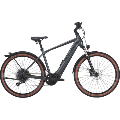 Bulls Cross Rider EVO 2, 750 Wh, Diamant, grey matt, L