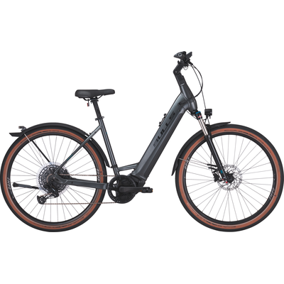 Bulls Cross Rider EVO 2, 750 Wh, Tiefeinsteiger, grey matt, L