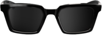 100percent Brille Erba - Polished Black - Black Mirror Lens