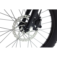 Rascal Bikes Wild 20 Kette 9-Gang, Ruby Red 20 Zoll