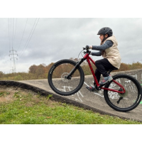 Rascal Bikes Wild 20 Kette 9-Gang, Ruby Red 20 Zoll