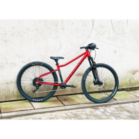 Rascal Bikes Wild 26 Kette 9-Gang, Ruby Red 26 Zoll