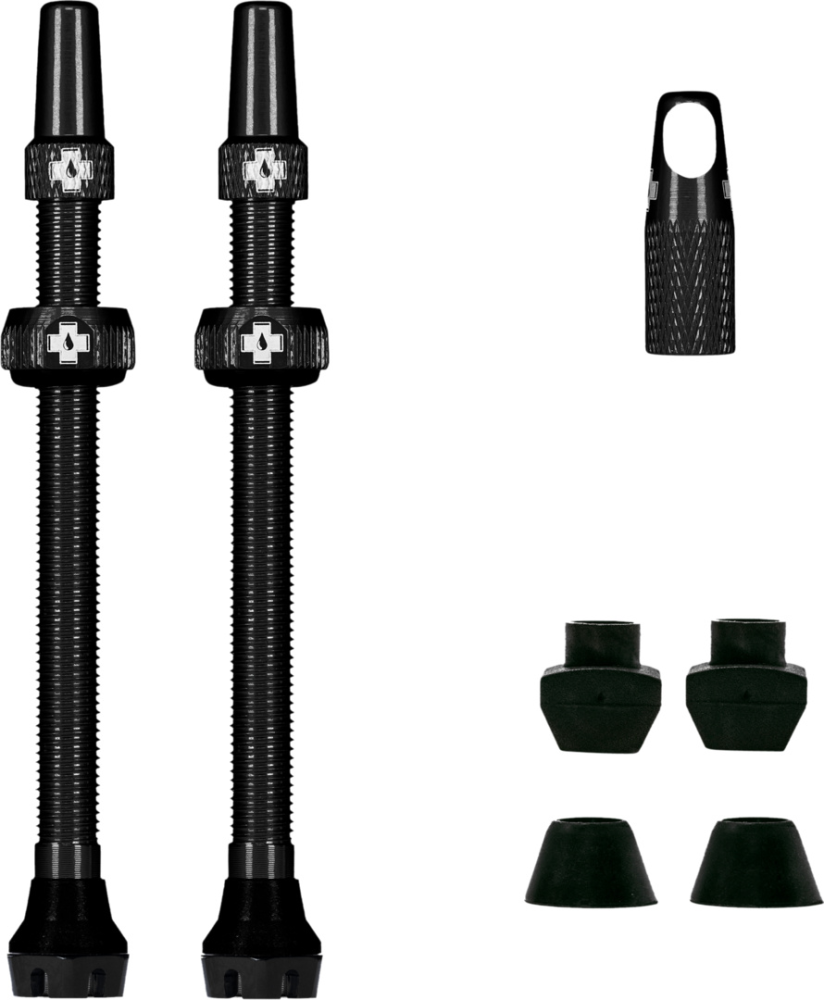 V2 Tubeless Valve Kit 80mm/black